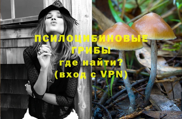 PSILOCYBIN Алексеевка